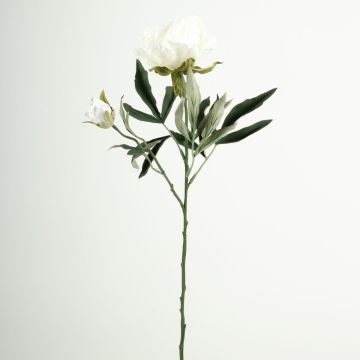 Rama de flores de plástico Peonía GALENE, Colección Eco, blanco-lila, 65 cm, Ø 10 cm Rama de flores de plástico Peonía GALENE, Colección Eco, blanco-lila, 65 cm, Ø 10 cm