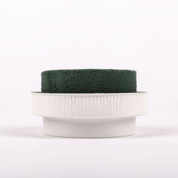 ®mosy Bandeja redonda de masa húmeda para arreglos florales ONORATA, verde y blanco, 5,5 cm, Ø 10 cm ®mosy Bandeja redonda de masa húmeda para arreglos florales ONORATA, verde y blanco, 5,5 cm, Ø 10 cm