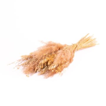 Ramo seco EISTLA, natural, 50 cm, Ø 23 cm Ramo seco EISTLA, natural, 50 cm, Ø 23 cm
