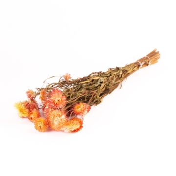 Ramo de flores de paja secas ALMINKA, amarillo-naranja, 50-60 cm, Ø 15 cm Ramo de flores de paja secas ALMINKA, amarillo-naranja, 50-60 cm, Ø 15 cm