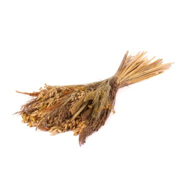 Ramo seco FALADA, natural, 65 cm, Ø 20 cm Ramo seco FALADA, natural, 65 cm, Ø 20 cm