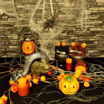 Halloween - Calabazas espeluznantes Halloween - Calabazas espeluznantes