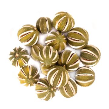Fruta seca decorativa: limas SIEGLINDE, cortadas, verdes, Ø4-5cm, 250g Fruta seca decorativa: limas SIEGLINDE, cortadas, verdes, Ø4-5cm, 250g