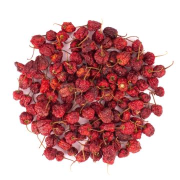 Fruta seca decorativa: chiles redondos ANNELIESE, rojos, Ø 1-3 cm, 200 g Fruta seca decorativa: chiles redondos ANNELIESE, rojos, Ø 1-3 cm, 200 g