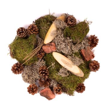 Decoración natural para esparcir QUIKISA de musgo, piñas, madera y líquenes, verde-marrón, 500 g