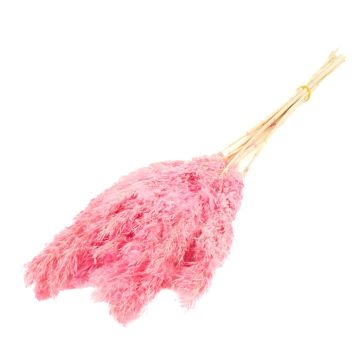 Ramo de junco seco DONJETA, rosa, 70-80cm, Ø15cm Ramo de junco seco DONJETA, rosa, 70-80cm, Ø15cm