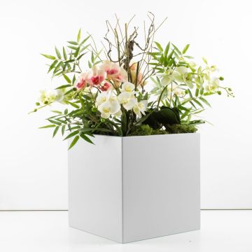 Arreglo de orquídeas personalizado - Petición de la clienta Isabella