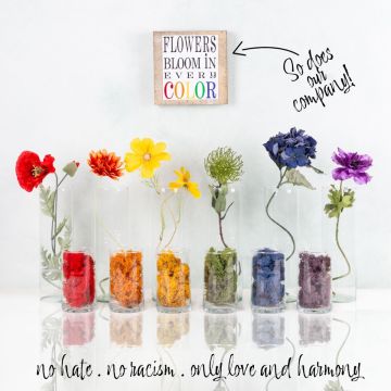 Flowers Bloom in every Color