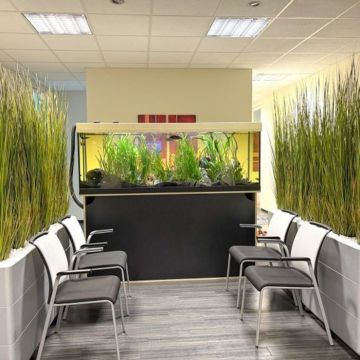 Zona de espera rediseñada, incluso sin plantas reales – Solicitud de cliente de Lohi Würzburg