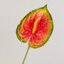 Anturio de plástico JASMINA, verde-rojo, 75cm, 14x18cm