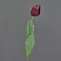 Tulipán artificial PILVI, helado, rojo oscuro, 65cm, Ø5cm