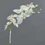 Orquídea de plástico Phalaenopsis NALANI, nieve, blanca, 80cm