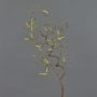Rama de avellano de plástico XANCHO con amentos, marrón, 65cm