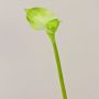 Calla de plástico MARIOLA, verde, 80cm, 8x15cm