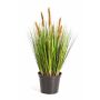 Hierba de plástico cola de zorra acuática FELIX con panículas, verde-marrón, 60cm