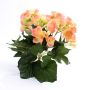 Begonia sintética IVANA con palo, melocotón, 20cm, Ø3-5cm