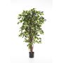 Ficus Benjamini de imitación JARLAN, troncos reales, verde, 120cm