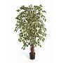 Ficus Benjamini de imitación JARLAN, troncos reales, verde-blanco, 120cm