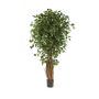 Ficus Benjamini sintético LUCIUS, tallos reales, verde, 120cm
