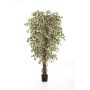Ficus Benjamini de plástico DAKU, tallos naturales, verde-blanco, 90cm