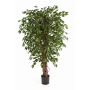 Ficus Benjamini de plástico DAKU, troncos naturales, verde, 120cm
