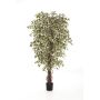 Ficus Benjamini de plástico DAKU, tallos naturales, verde-blanco, 120cm