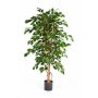 Ficus artificial Benjamina THIAGO, troncos naturales, verde, 120cm