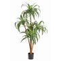 Árbol de plástico Dracaena Fragrans JALA, troncos reales, verde-blanco, 120cm