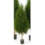 Cedro de plástico YVONNE, verde, 120cm