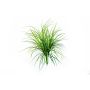Carrizo de plástico ELIAS con palo, verde, 75cm