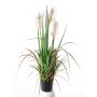 Carrizo falso EYOTA con panículas, verde-marrón, 80cm