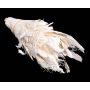 Material de fibra de palmera natural ABENA, crema-blanco, en conjunto