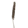 Flor seca de palmera Babassu MAKENA, Cacho Coco, color natural, 120-190 cm