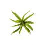 Helecho nido decorativo FRANNY, enchufable, verde, 30cm, Ø30cm