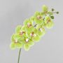 Rama textil de orquídea Phalaenopsis OPHELIA, verde-rosa, 100cm