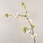 Rama decorativa de cerezo en flor VALESKA, floración, rosa, 105cm
