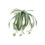 Planta cinta artificial MALOU con palo, verde-blanco, 60cm