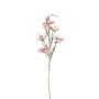 Magnolia de plástico NEYLA, para zonas resguardadas, blanco-rosa, 100cm, Ø12-14cm