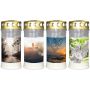 Luz de sepultura SAVINA con motivo, tapa, 4 piezas, blanco, 17cm, Ø7,7cm, 96h