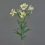 Lirio de plástico AUBERTA, verde-blanco, 75cm, Ø6cm