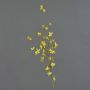 Rama de forsitia falsa IHRANI, floración, amarillo, 90cm