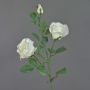 Rama de rosas sintéticas ARIANE, blanca, 75cm, Ø7-10cm