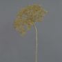 Pie de oso planta de plástico ANSARI, marrón, 80cm, Ø22cm