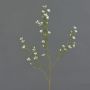 Flor de cera de plástico NIANG, crema, 80cm, Ø2-3cm