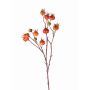 Rama de rosa silvestre de plástico GERDA con frutos, naranja, 65cm