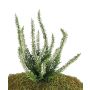 Brezo de plástico IMKE con palo, crema, 25cm, Ø1cm