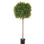 Árbol de boj de plástico THORIS, tronco real, 105cm, Ø40cm