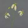Gloriosa de imitación TIANA, rosa-verde, 80cm, Ø8-15cm
