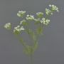 Rama de eneldo de plástico WINCENT con flores, blanco-verde, 80cm