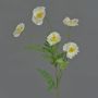 Amapola artificial KEIRA, blanca, 65cm, Ø5cm